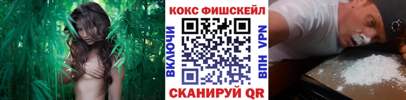 Продажа наркотиков Монино АМФЕТАМИН Мефедрон ОМГ ОМГ ССЫЛКА Cocaine СОЛЬ Канабис